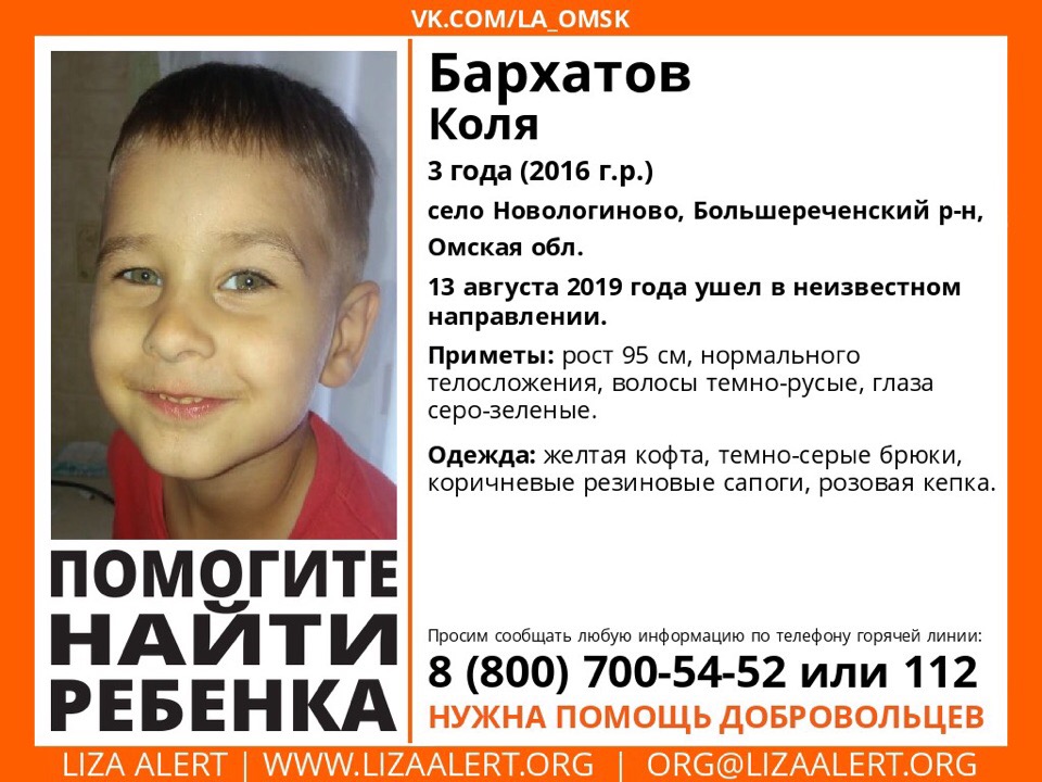 В сибирской тайге ищут 3-летнего мальчика, который исчез из машины, пока родители ходили за ягодами | CityTraffic