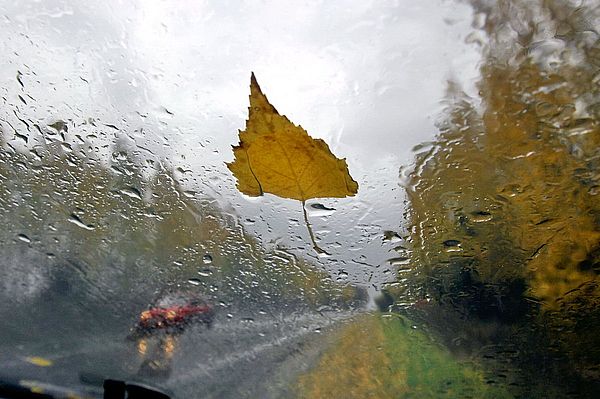 Дожди в Самарской области продержатся как минимум до среды | CityTraffic