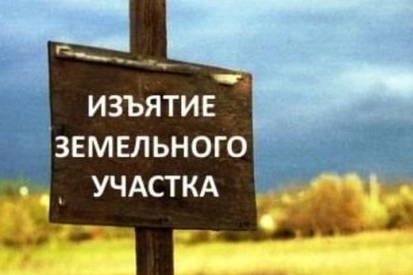 Для нужд Самарской области изымут участок в селе Калинка Ульяновской области
