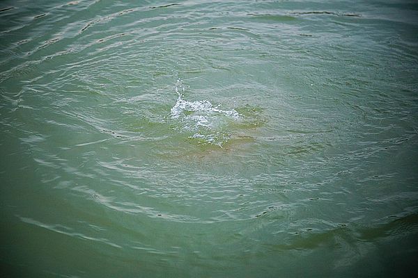 В районе острова Зелененький в Самаре спасатели извлекли из воды тело утонувшего мужчины 