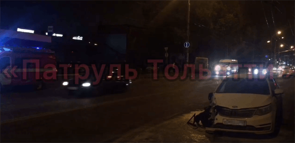 Бали элиста. Машины в элисте. Патруль тольятти автобус. Тольятти элиста на машине. Калмыкия граница с волгоградом.