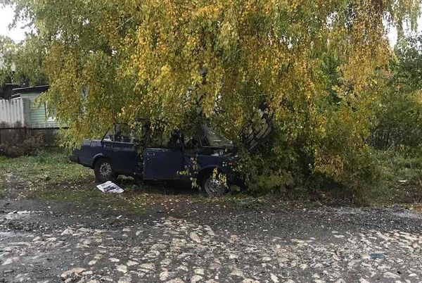 В Самарской области водитель "пятерки" попал в реанимацию после столкновения с деревом | CityTraffic