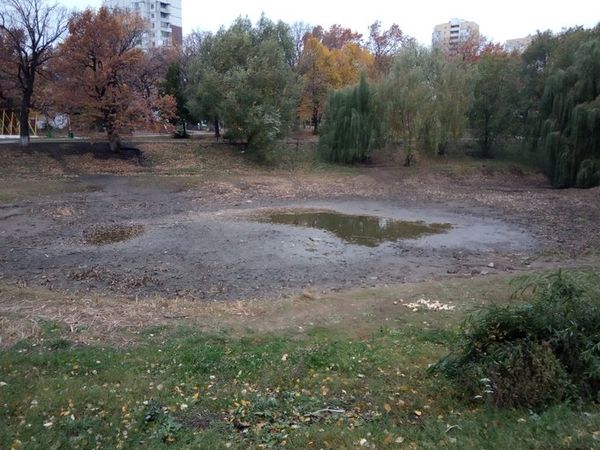 "Позор не нам" - власти Самары объяснили, что не виноваты в обмелении озера на Стара-Загоре | CityTraffic