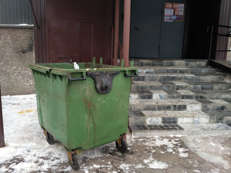 Объем мусора, вывезенного из Тольятти регопе­ра­тором, назвали тайной информацией