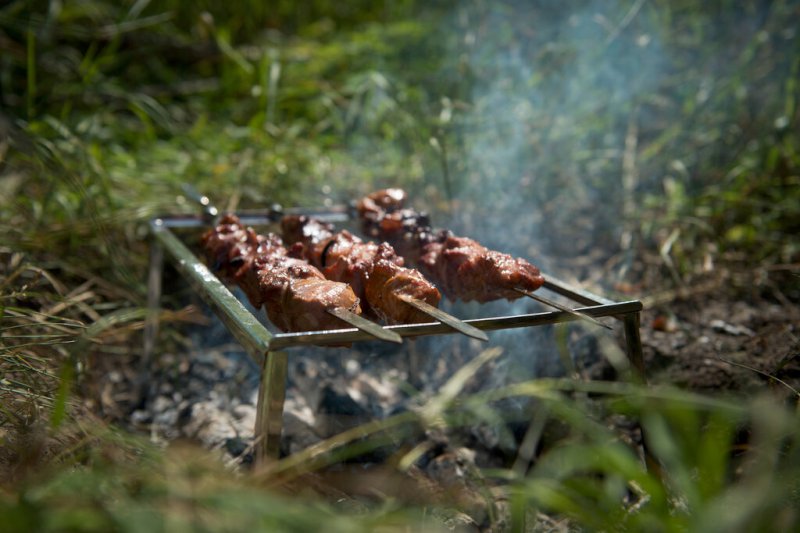 Осень лес шашлыки