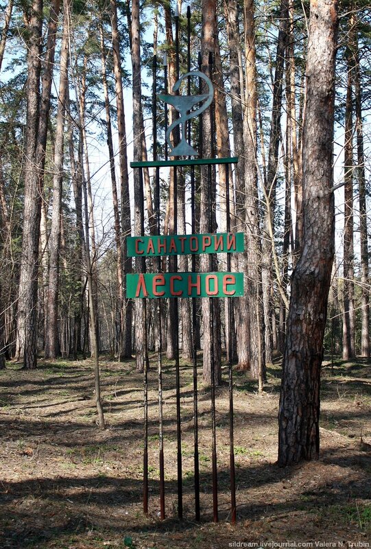 Лесное санаторий тольятти