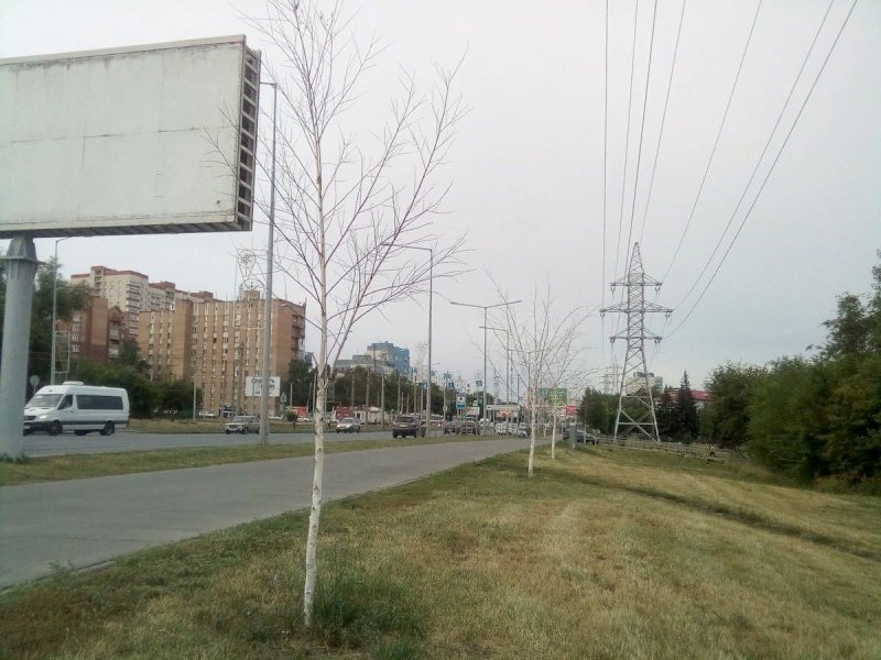 Самара замена. Тополей город Самара. Тополя в Самаре. Пересечение Ново садовой и Ново Вокзальной Самара. Склад велосипедов на Ташкентской и тополей.