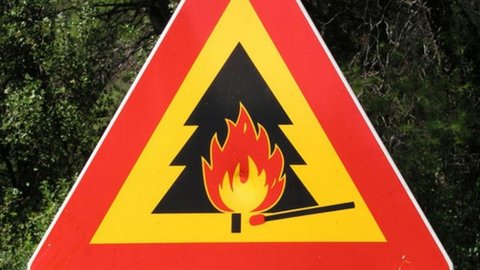 В Самарской области объявлен 5 класс пожаро­опас­ности лесов