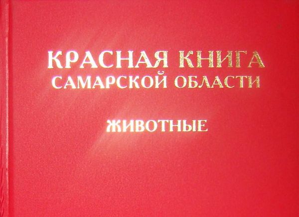 На ведение Красной Книги Самарской области выделили 489 тысяч рублей | CityTraffic