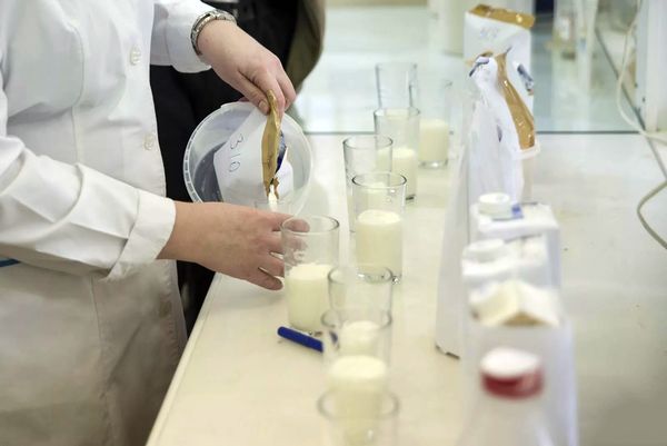 В молочной продукции из Беларуси обнаружили слишком много бактерий | CityTraffic