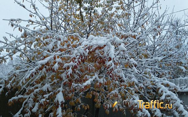 В Самарской области такого снегопада 31 декабря не было 37 лет | CityTraffic