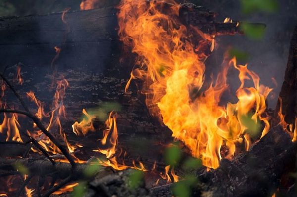 В Зеленой зоне Тольятти 22 человека тушили низовой лесной пожар