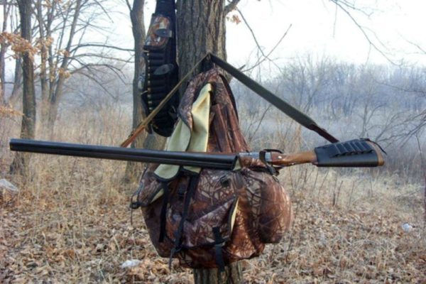 В Самарской области начали выдавать разре­шения на весеннюю охоту
