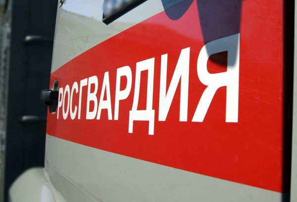 В Чапаевске двое мужчин с гвоздо­дером и кувалдой похитили 156 жд костылей