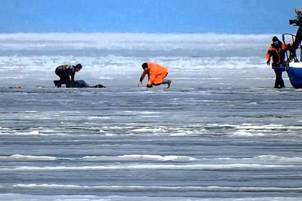 В Самарской области два рыбака провалились под лед, один погиб | CityTraffic