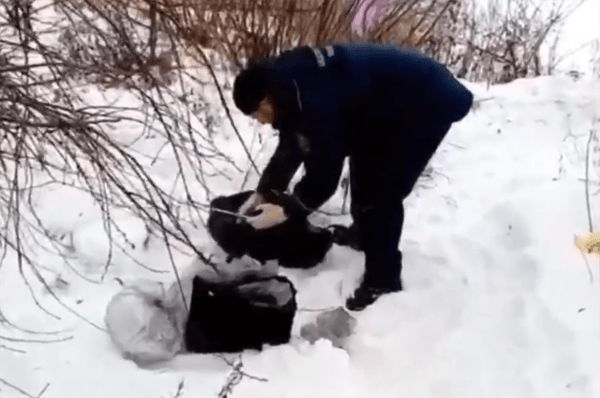 В Самарской области на улице было обнаружено тело четырехмесячной девочки | CityTraffic