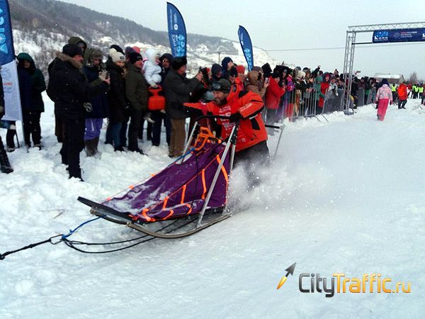 Гонка на собачьих упряжках чемпионата Arctic World Series впервые стартовала в Ширяево | CityTraffic