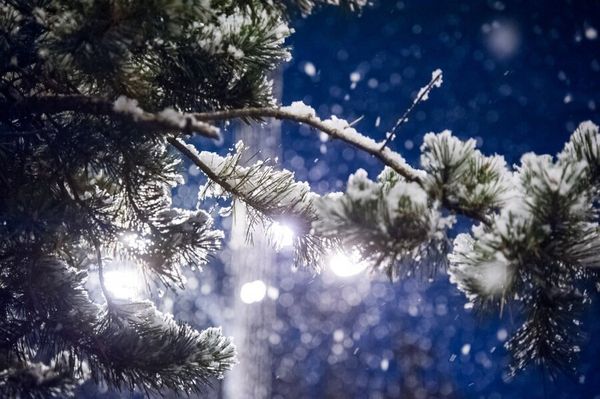 В новогоднюю ночь в Самарской области ожидается небольшой мороз и немного снега