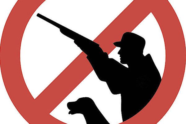 В 14 районах Самарской области до 1 июня запретили охоту на кабана из-за вспышки АЧС