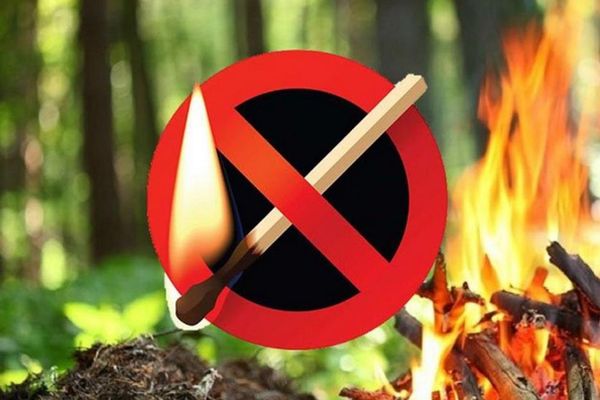 В Госдуме предложили увеличить в 20 раз сумму штрафа за нарушение проти­во­по­жарного режима в лесах