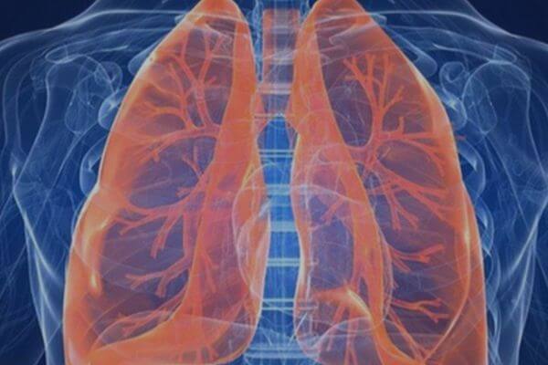 Диагнозы ОРВИ и пневмония были у 214 из 248 пациентов с подтвержденным за сутки COVID-19 в Самарской области | CityTraffic