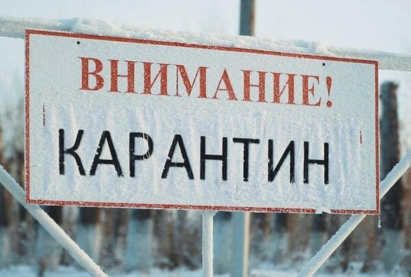 Самарской области на терри­тории охотничьих угодий Хворостянского района ввели карантин по АЧС