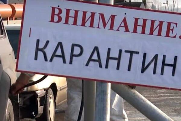 В Самарской области установлен карантин по бешенству в Борском районе | CityTraffic