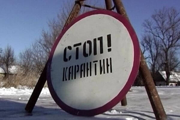 В нескольких селах Самарской области установлен карантин по бешенству | CityTraffic