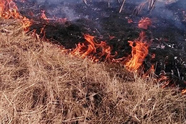 В Южном городе 20 человек тушили горящую траву | CityTraffic