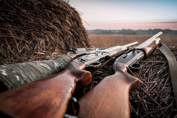С 15 августа в Самарской области начнется прием заявлений на осеннюю охоту