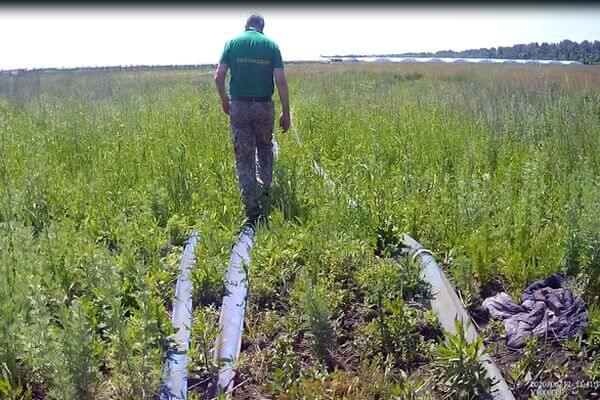 Три жителя Самарской области оштрафованы за то, что откачивали воду из реки | CityTraffic Три жителя Самарской области оштрафованы за то, что откачивали воду из реки | CityTraffic