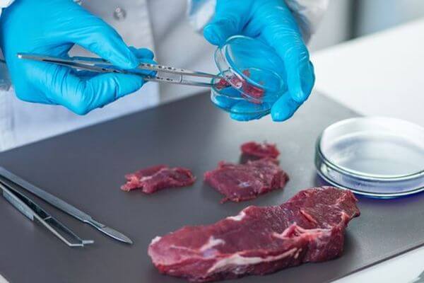 В Самарской области за полгода забра­ковали только 3 кг мяса