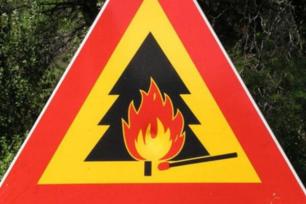В Самарской области отменен режим повышенной готов­ности, вводимый из-за риска лесных пожаров
