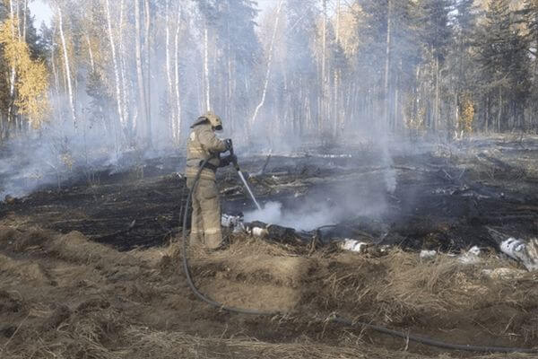 В 11 муниципалитетах Самарской области введут режим угрозы возникновения ЧС из-за пожаров | CityTraffic