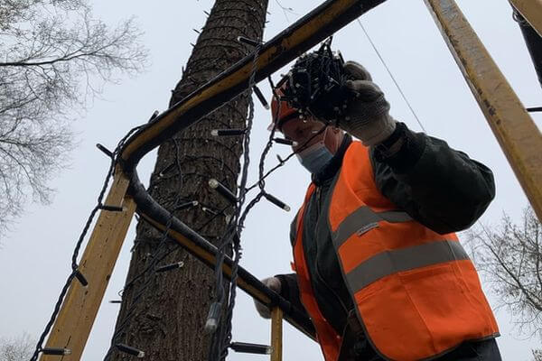 В Самаре начали развешивать гирлянды на деревьях, готовясь к Новому году | CityTraffic