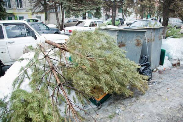 Самарцам предложили сдать на перера­ботку елки, остав­шиеся после Нового года