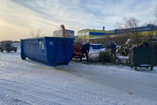В Самарской области приступили к переработке новогодних ёлок | CityTraffic В Самарской области приступили к переработке новогодних ёлок | CityTraffic