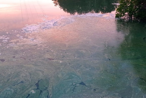 Воду в тольят­тинских озерах Восьмерка и Дачное эксперты не признали экстре­мально грязной