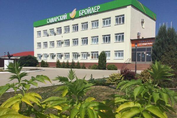 Отменено банкротство Тимашевской птицефабрики | CityTraffic