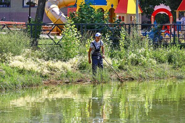 В Самаре активисты очищают озеро в сквере «Родничок Надежды» в Советском районе
