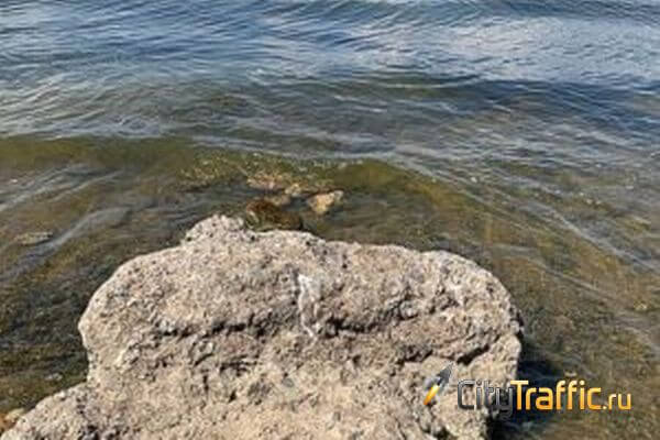 Вода у берегов Тольятти разогрелась до рекордной температуры | CityTraffic