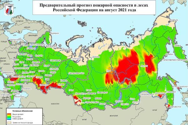 Рослесхоз прогнозирует повышение пожароопасности в лесах Самарской области в августе | CityTraffic