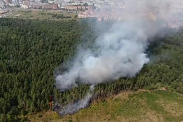Объявленная награда не помогла поймать поджи­га­телей лесов в Тольятти