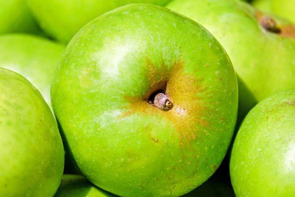 Самарский зоопарк закупит яблоки, апельсины и бананы для своих обитателей