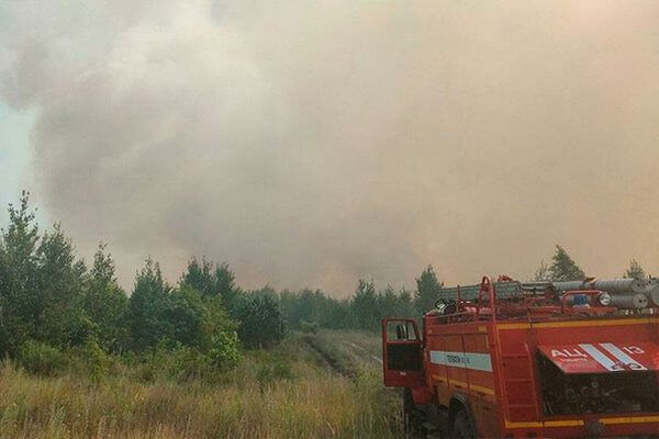 В Тольятти с утра 1 сентября дважды горел лес | CityTraffic