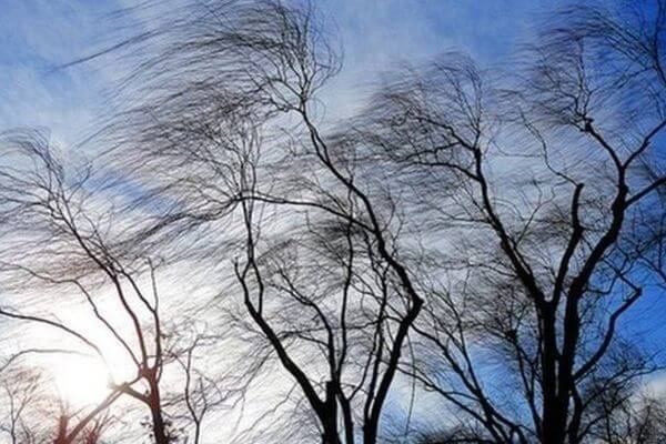 Из-за сильного ветра в Самарской области 15 января объявлен желтый уровень погодной опасности