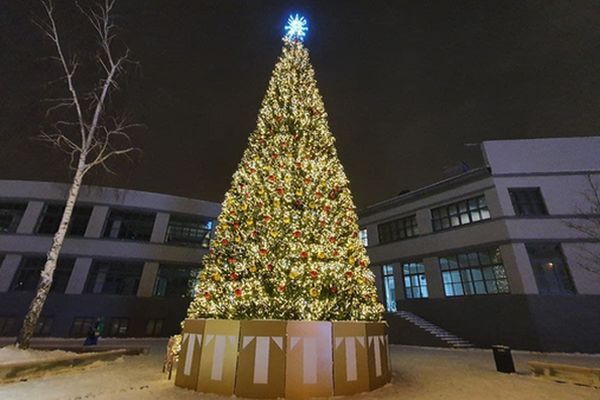 В Самаре у филиала Третьяковки зажгли новогоднюю ель | CityTraffic