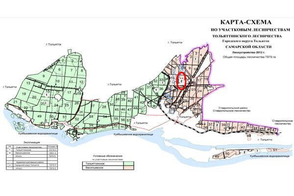 Ставропольское лесничество тольятти карта