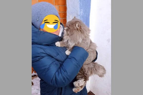 Для спасения упитанного кота спаса­телям Тольятти пришлось пробить стену