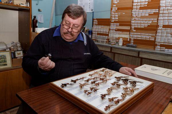 В Самарском университете откроют Умный дом бабочек | CityTraffic